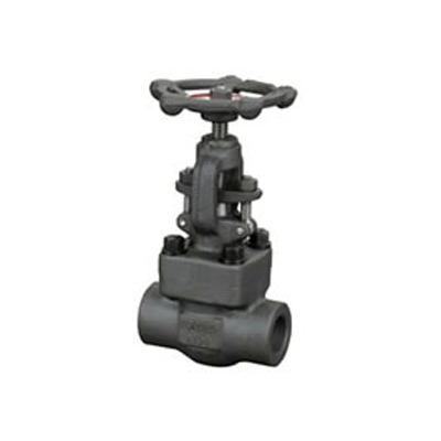  Forged steel globe valve 