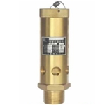  Special safety valve for air compressor 