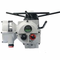  Partial rotary electric actuator 