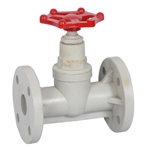  PPH flange globe valve 